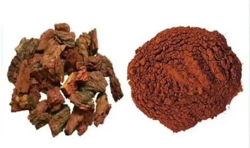 Ubat Gout: Panduan Lengkap untuk Menguruskan Kesakitan dan Mencegah Serangan 7 extract pine bark