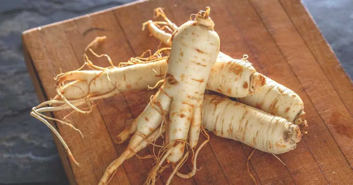 Suplemen Diabetes: Panduan Lengkap Pemakanan Tambahan untuk Penyakit Kencing Manis 9 ginseng