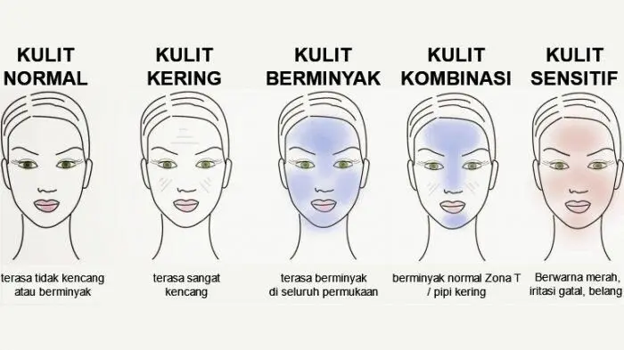 Sebab Jerawat: Panduan Lengkap Memahami Punca dan Penyelesaian Masalah Kulit 4 jenis kulit