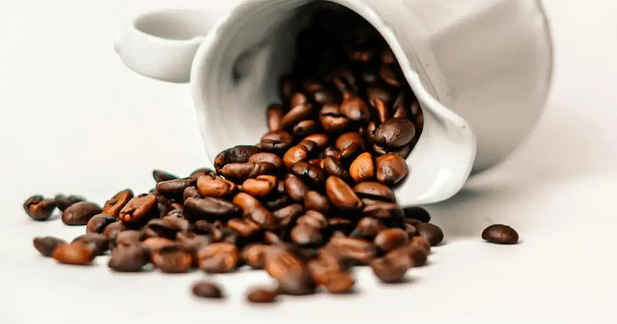 kopi