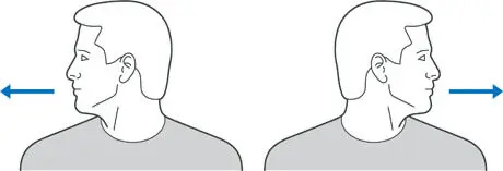 Senaman Efektif untuk Meredakan Sakit Belakang: Panduan Komprehensif 12 neck rotation