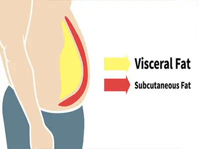 Makanan untuk Penghidap Gout: Panduan Lengkap untuk Mengurangkan Asid Urik 7 visceral fat