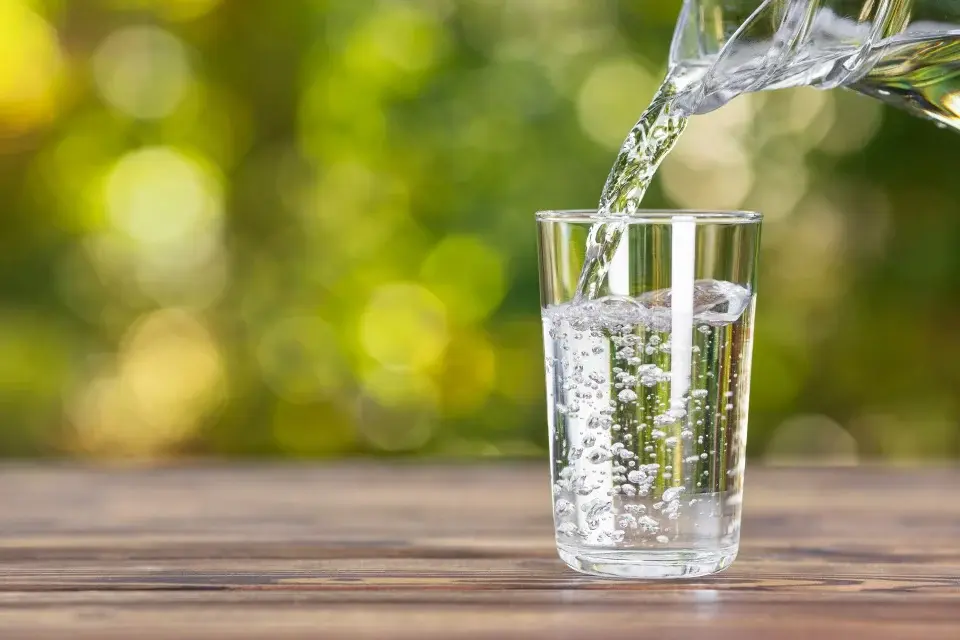Makanan untuk Penghidap Gout: Panduan Lengkap untuk Mengurangkan Asid Urik 6 water glass